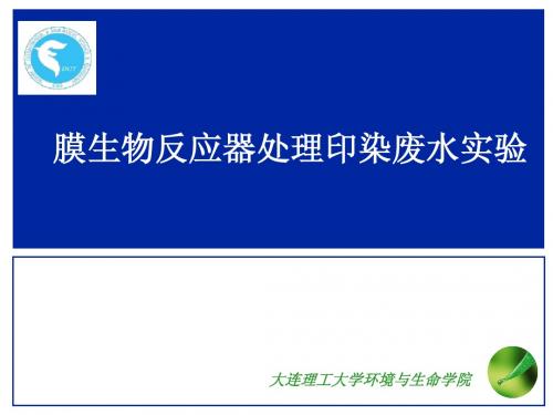 膜生物反应器处理印染废水实验