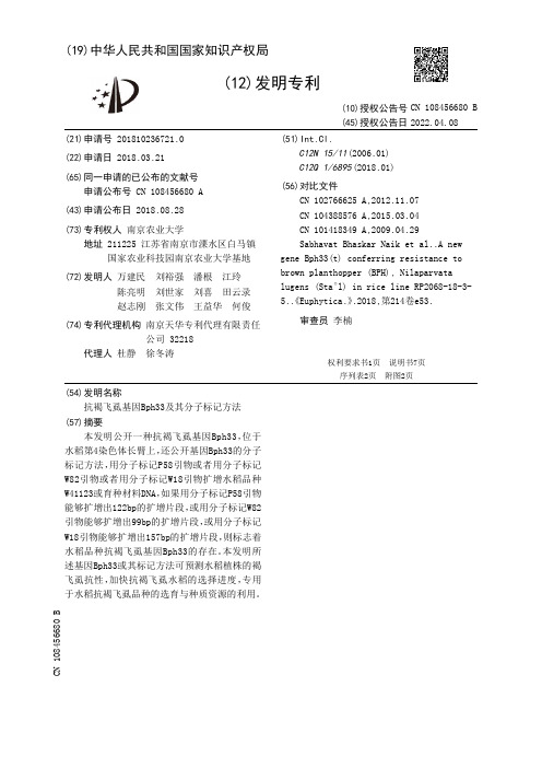 抗褐飞虱基因Bph33及其分子标记方法[发明专利]