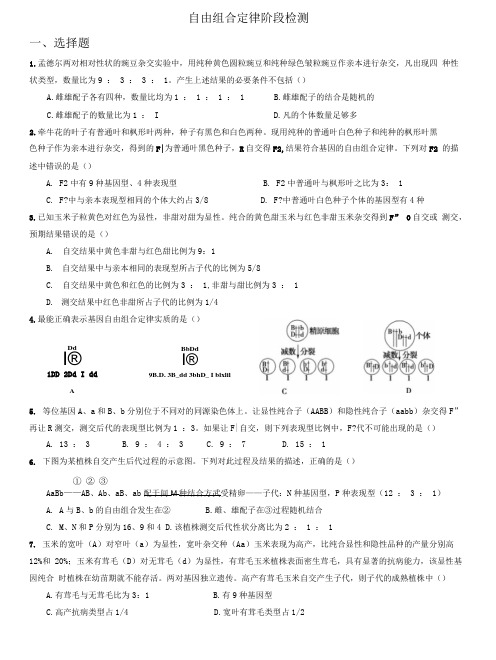 自由组合定律(北师大附中复习题).doc