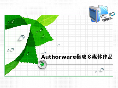 Authorware的使用