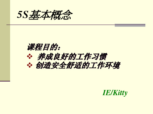 5S基本概念(PPT 31页)