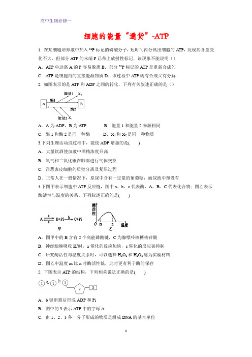 高中生物必修1课时作业20:5.2细胞的能量“通货”-ATP