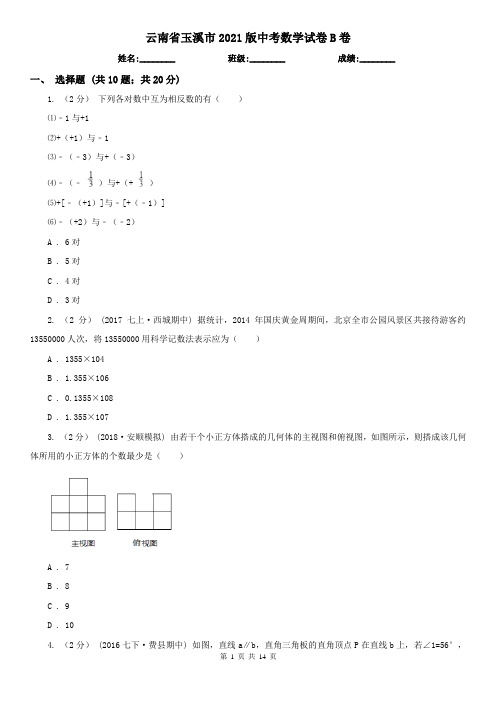 云南省玉溪市2021版中考数学试卷B卷