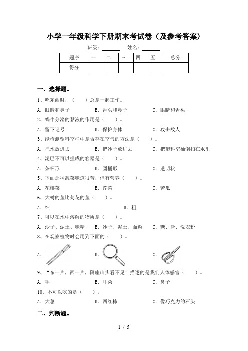 小学一年级科学下册期末考试卷(及参考答案)