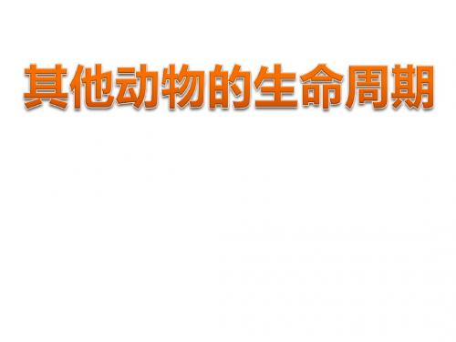 教科版三年级科学下册其他动物的生命周期