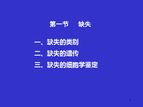 基因突变与染色体变异