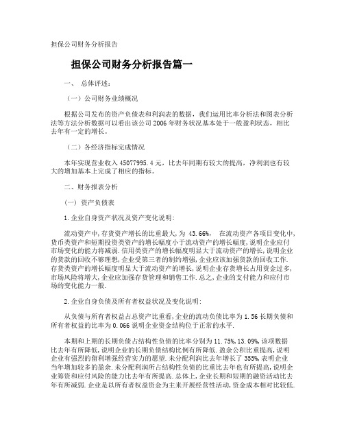 担保公司财务分析报告