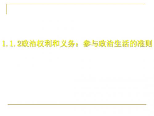 政治权利与义务：参与政治生活的准则PPT课件2 人教课标版