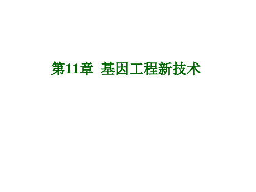 第11章基因工程新技术PPT资料68页