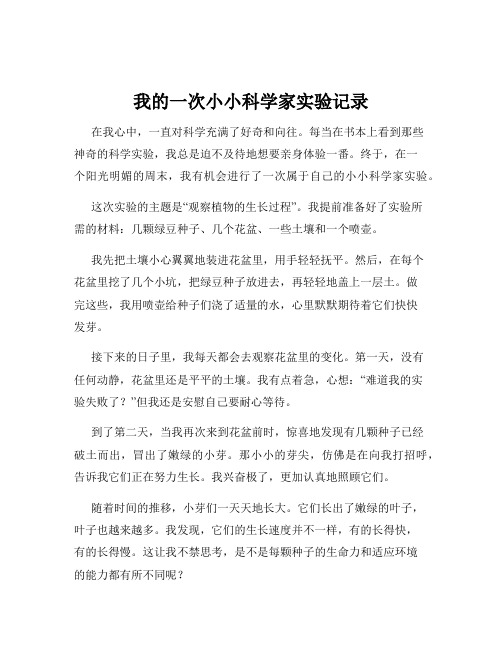 我的一次小小科学家实验记录