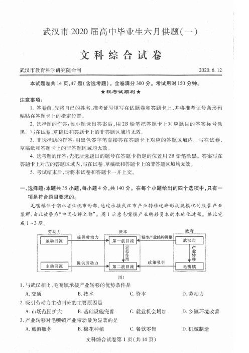 湖北省武汉市2020届高中毕业生六月供题试卷 文科综合试题(含答案)