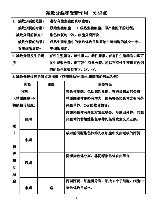 【高中生物】减数分裂和受精作用  知识点