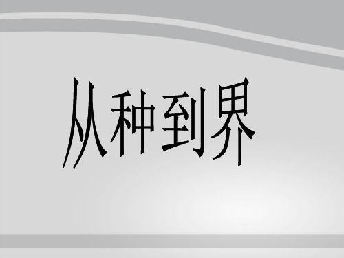 人教版八年级上册生物课件 6.1.2 从种到界(共19张PPT)