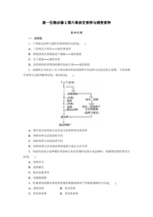 高一生物必修2第六章杂交育种与诱变育种测试题