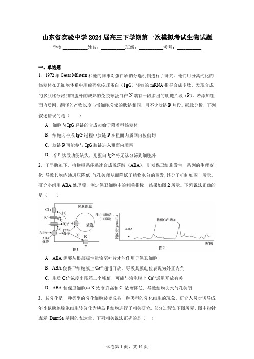 山东省实验中学2024届高三下学期第一次模拟考试生物试题