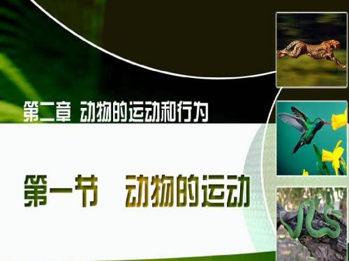 八年级生物  第五单元 第二章 第一节   动物的运动
