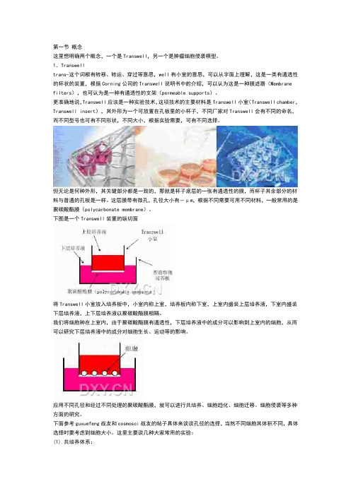 transwell实验