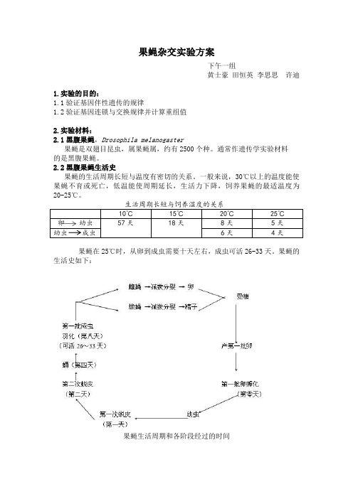 上海交通大学果蝇杂交实验方案-下午一组