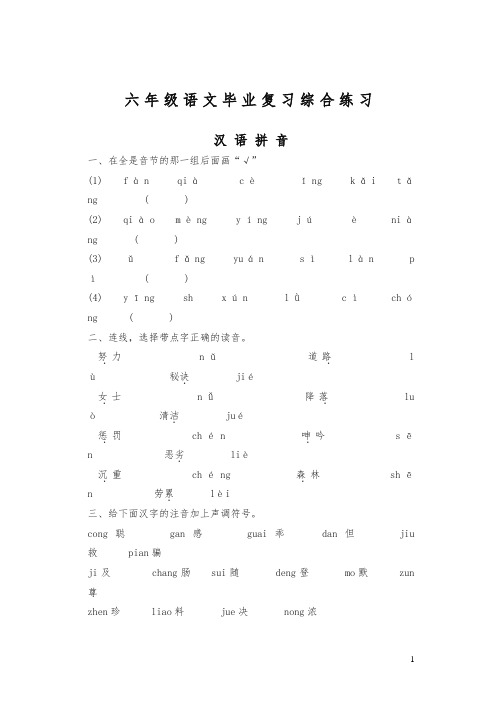 苏教版六年级语文毕业复习综合练习