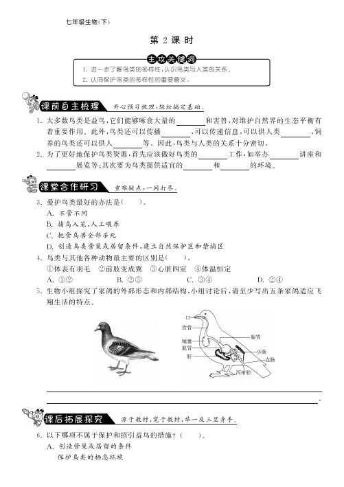 七年级生物下册 第五单元 第12章 第1节 鸟类课课练(第2课时)(pdf) 苏科版