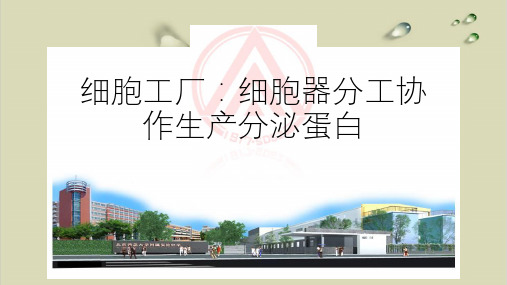 北师大实验中学生物学科''基于深度学习的研究课''展示之高1级《细胞工厂生命活动的基本单位》优质课件