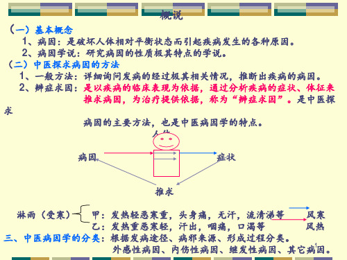 病因(讲)PPT课件