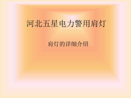 警用肩灯的详细介绍,及图片展示!.ppt