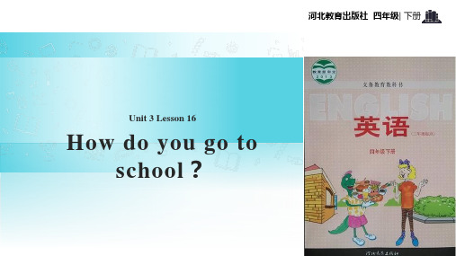 四年级下册英语-Unit 3 Lesson 16 How Do You Go to Schoo