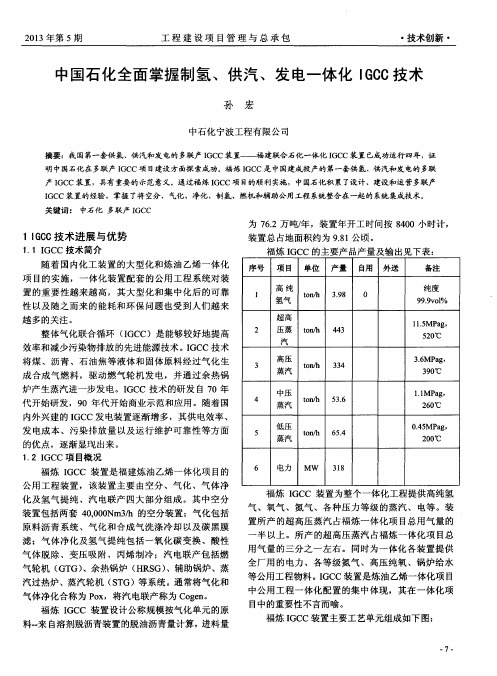 中国石化全面掌握制氢、供汽、发电一体化IGCC技术