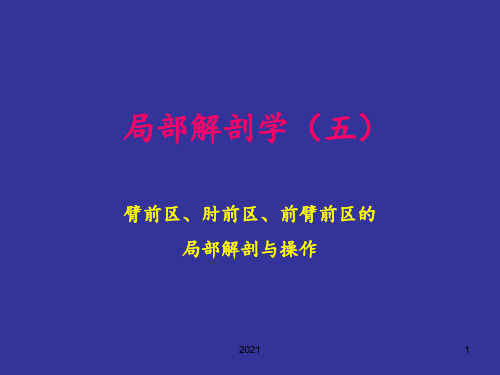 臂前区、肘前区、前臂前区的局部解剖与操作-人体局解剖学--05PPT课件