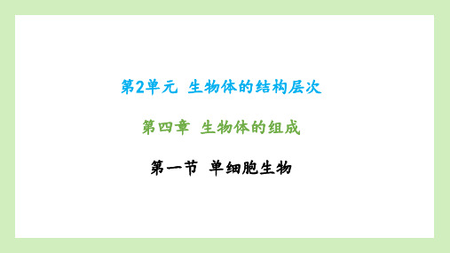 第一节单细胞生物课件2023--2024学年苏教版生物七年级上册