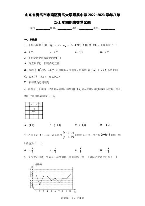 山东省青岛市市南区青岛大学附属中学2022-2023学年八年级上学期期末数学试题及解析