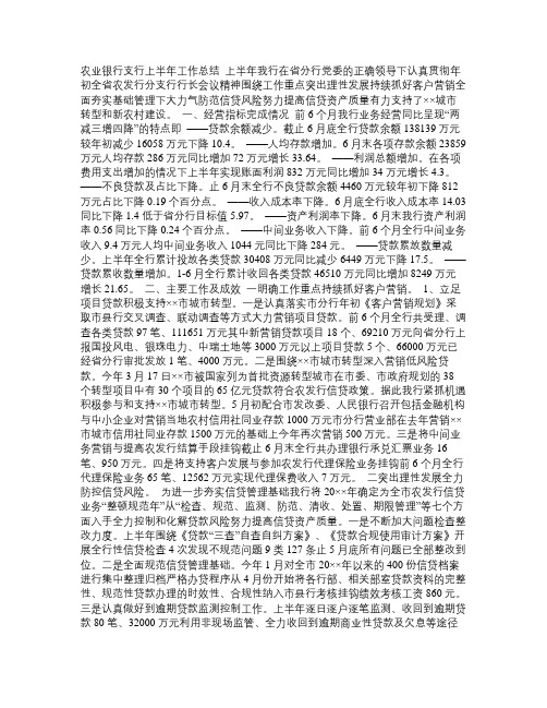 农业银行支行上半年工作总结