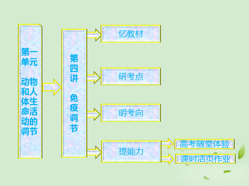 高中生物一轮复习 第一单元 第四讲 免疫调节课件 新人教版必修3