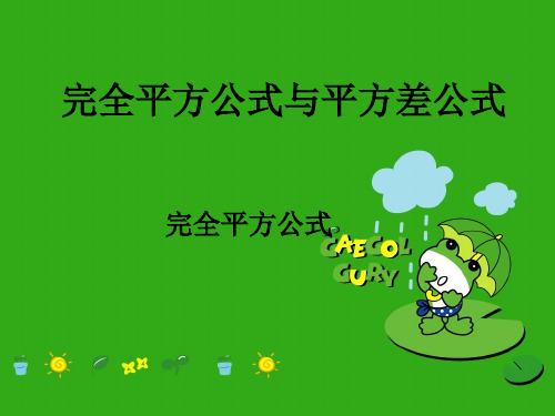 《完全平方公式与平方差公式》PPT课件 (公开课获奖)2022年沪科版 (3)