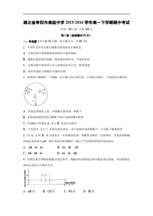 枣阳市高级中学2015-2016学年高一下学期期中考试生物试题及答案