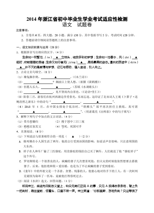 2014中考语文模拟试题卷