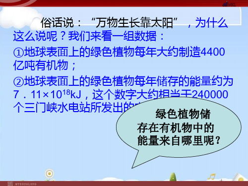 【全国百强校】江西省临川区第二中学人教版高中生物必修一课件：5.4能量之源—光与光合作用(共53张PPT)