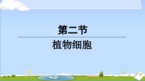 2024年秋季新人教版七年级上册生物课件 第一单元第二章第二节