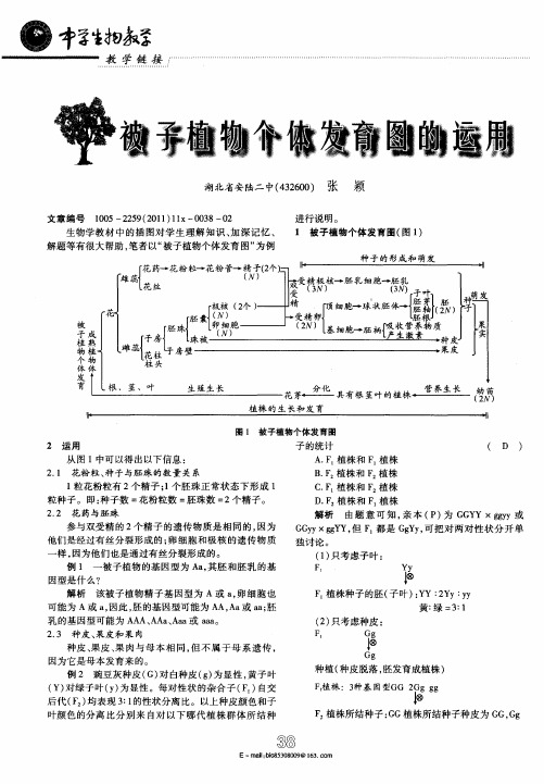 被子植物个体发育图的运用