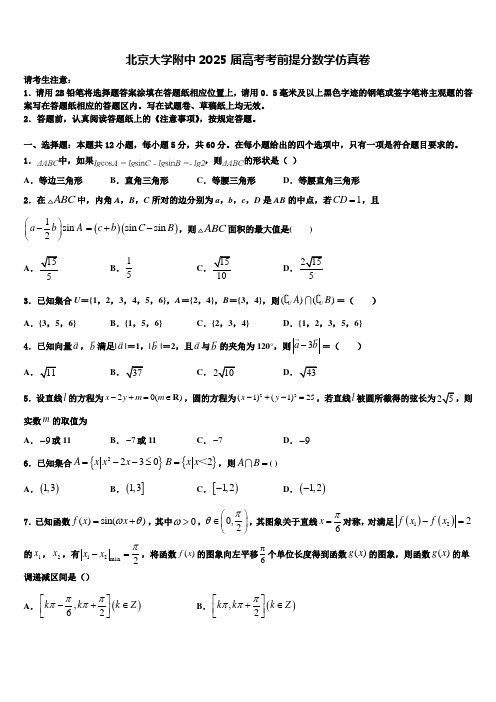 北京大学附中2025届高考考前提分数学仿真卷含解析