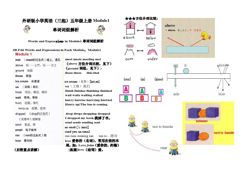 外研版小学英语(三起)五年级上册Module1单词词组解析