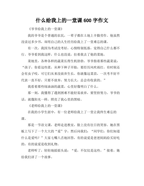 什么给我上的一堂课600字作文