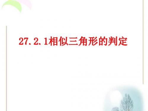 27.2.1相似三角形的判定