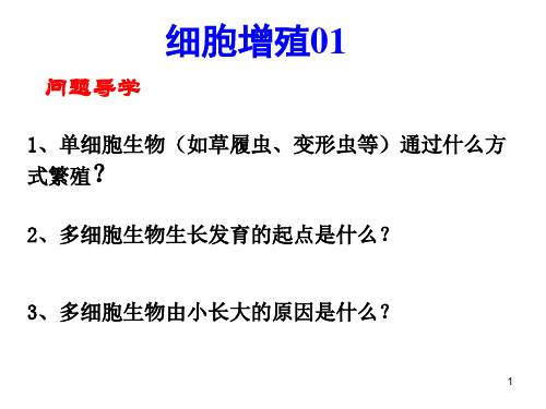 高三一轮复习生物： 细胞的增殖第一讲(细胞增殖和细胞周期)课件