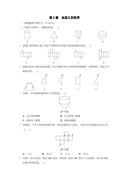 第5章+走进几何世界+综合素质评价卷+2024-2025学年苏科版数学七年级上册