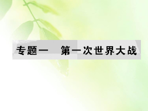 2019-2020学年人民版高中历史选修三课件：专题1 第一次世界大战 三