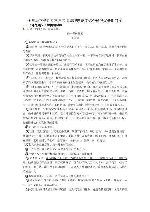 七年级下学期期末复习阅读理解语文综合检测试卷附答案