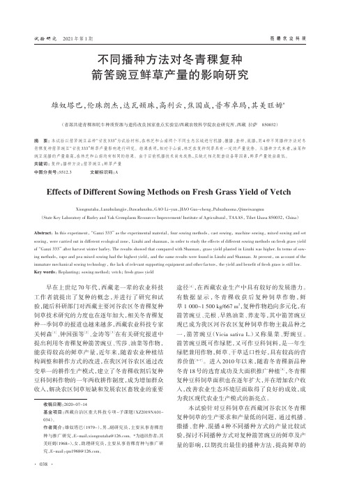 不同播种方法对冬青稞复种箭筈豌豆鲜草产量的影响研究