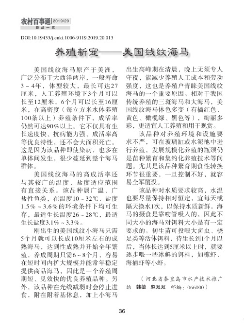 养殖新宠——美国线纹海马